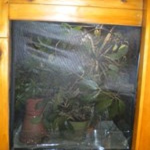 Built In Terrarium