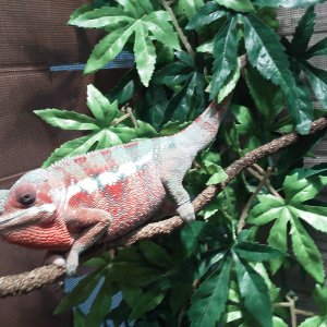Img 20121019 121913