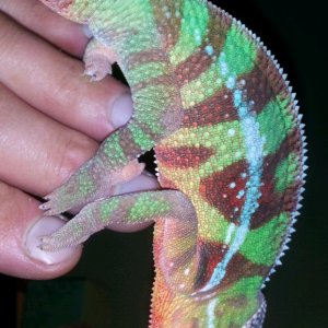 2012-09-14 16.20.07
