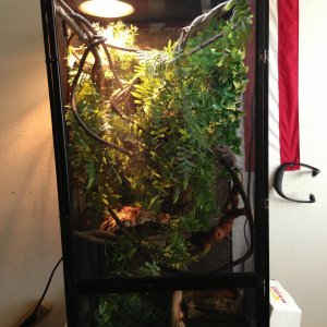 This Is The Cage .