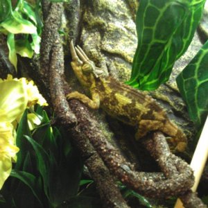Sheldon In His Updated Digs
