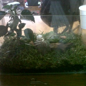 My Baby In His House