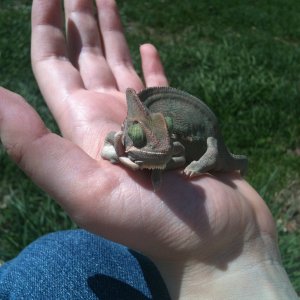 Chilling Outside