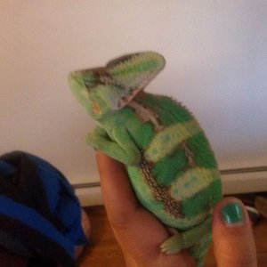 George
