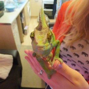 Little Dude Says "hi"