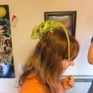 "don't Mind Me I Just Love Your Hair"