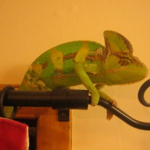 Little Dude In His Favorite Spot