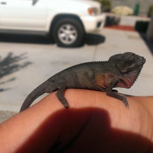 Getting Some Sun. :-d