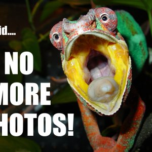 Stop Taking Pictures!