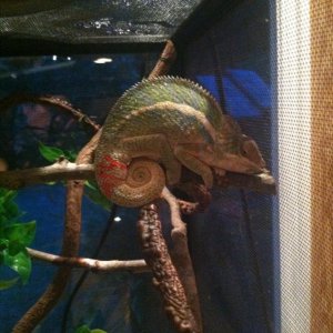Sleepy Time