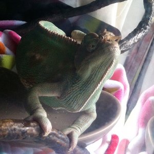 Look Ma, No Hands!