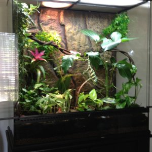 Image 417830