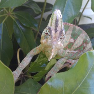 Pose For The Camera
