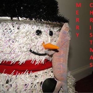 Climbing Snowman Mountain
