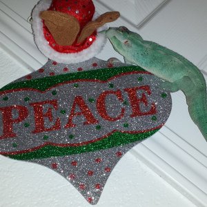 Jingle Cham