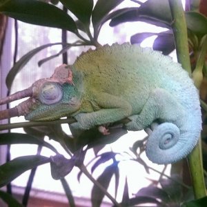 Sleep
