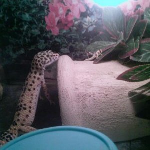 Photo 0260