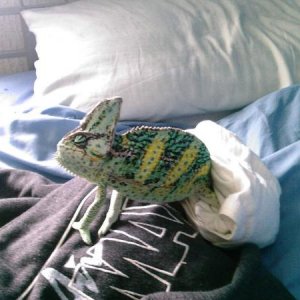 Photo 0466