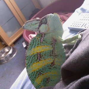 Photo 0469