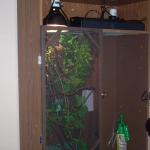 Athena's cage