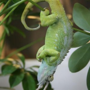 hangin 'round