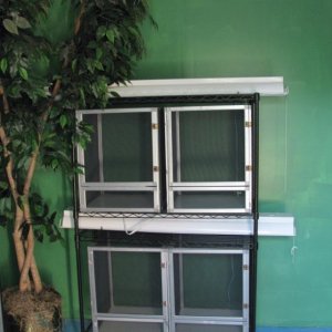 North Wall - door is to the right. Ficus is in the corner