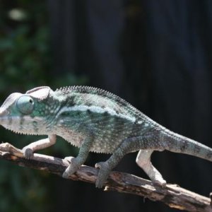 IMG 0506