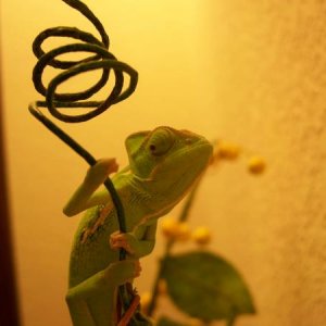 Hangin, what are YOU doin?