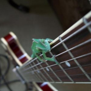 Don't look down...