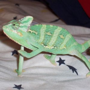 4696.jpg