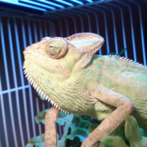 Get my good side!