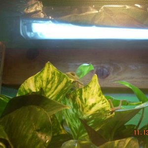 You Cant See Meeeeee!!!! HAHA
