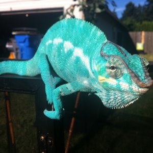 Photo 13