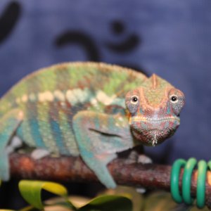 Photo 18