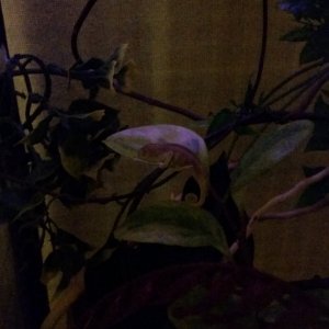 20150818_220209