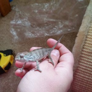 20150830_170048