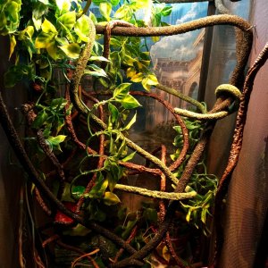 Enclosure
