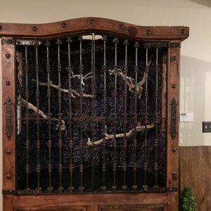branches in doors closed.JPG