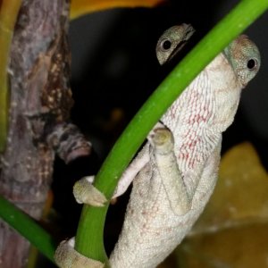 A little shy!
