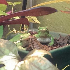 Serendipitous Cohabitation