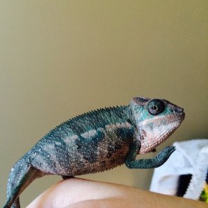 So handsome