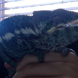 being cranky