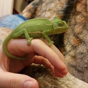 My baby is getting bigger!