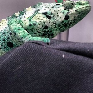 Cool colors!
