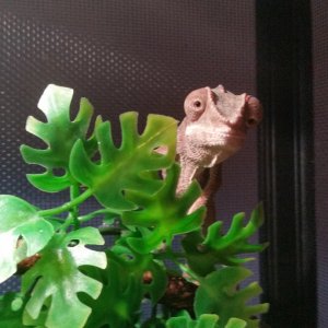 I see you!