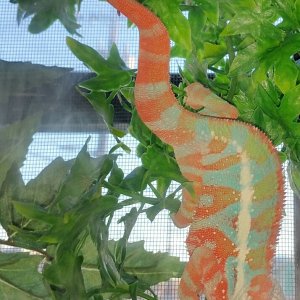 so curious