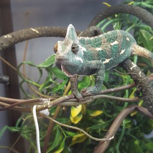 Whacha doing there?