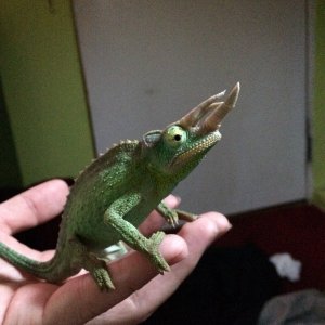image.jpeg
