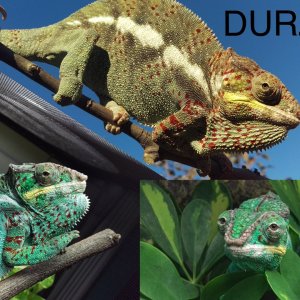 Durza