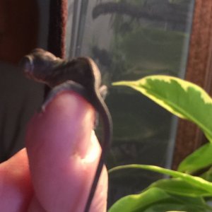 Day5